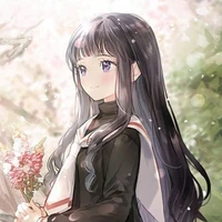 y/n shinsetsu