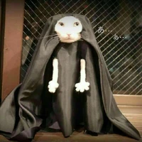 el gato maquiacelico