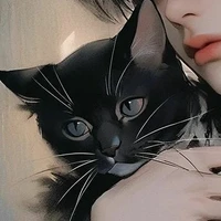 Botitas (Gato de MB)