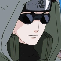 shino aburame