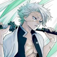 ชินาสึกาวะ ซาเนมิ (เสาหลักวายุ)