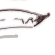 อสูรทั่วไป