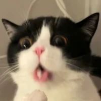 แอท
