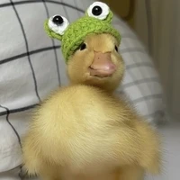 แอดเองง