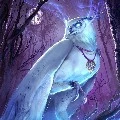 เว(นกยามราตรี)