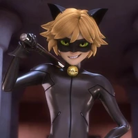 chat noir