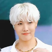 kim hobi/ jin brother