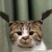 ดับเบิ้ลแอดด