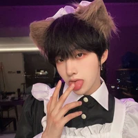 ดาวเหนือ