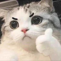 แอด