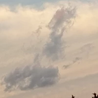 autora