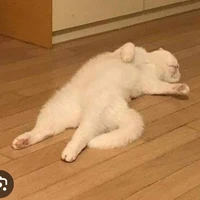 แอด