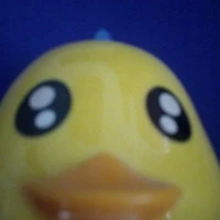 Ducky