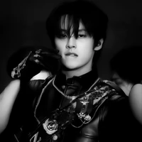 Lee know(Minho)