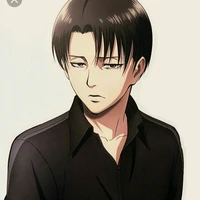 Levi