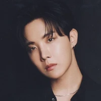 HOBI ( A/D  )