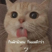 เจ้าของเรื่อง