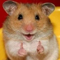 tikus berdasi 