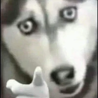 เเอด