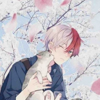 Todoroki AD