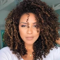 Viviane silva
