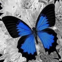 ใครหนาๆ??