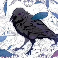 crow