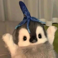🐟🐟