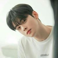 Cha Eunwoo