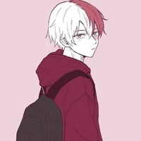 Shoto todoroki