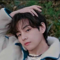 วี(พระเอก)