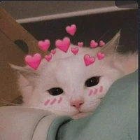 แอด✨