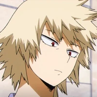 🤛Mitsuki Bakugou🤜