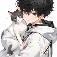 Lufi 