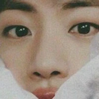 Little Seokjin