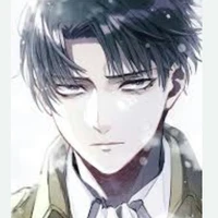 levi