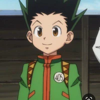 Gon Freecss