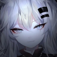 y/n