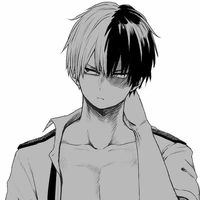 shoto todoroki