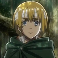 armin arleth