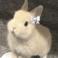 แอดเอง