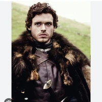 Robb stark