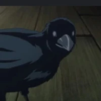 Kasugai Crow