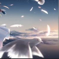 Dove
