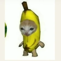 แอดเองค้าา
