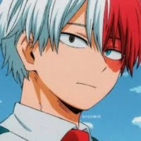 todoroki 
