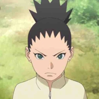 Shikadai 