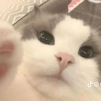 มิว