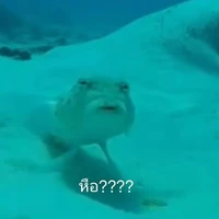 ？？？
