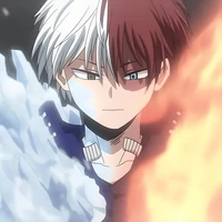 - Shoto Todoroki -